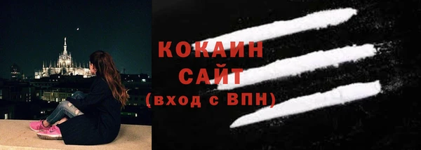 крисы Бронницы