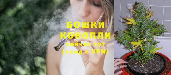 крисы Бронницы