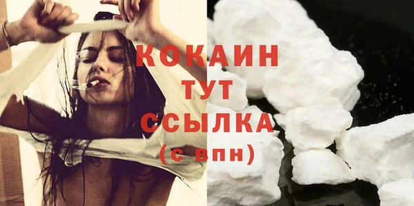 крисы Бронницы